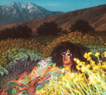 Brittany Howard - What Now (Vinilo)