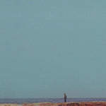 Mid-Air Thief - Crumbling (Vinilo)