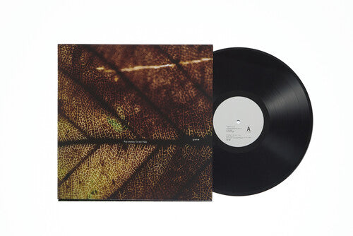 Pay Money to My Pain - gene (Vinyl)