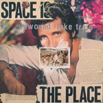 アンワウンド - フェイク・トレイン (ビニール盤)