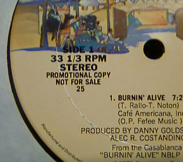 Tony Rallo & The Midnite Band : Burnin' Alive (12", S/Sided, Single, Promo, 25 )