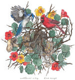 the album cover for Nathaniel Riley - Bird Songs