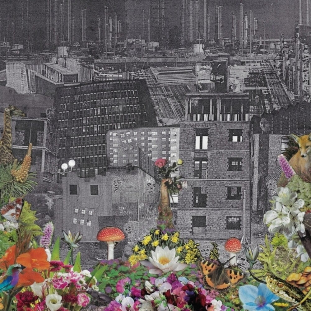 the album cover for Bloody Head - Perpetual Eden (Can)