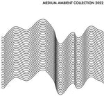 Varios Artistas - Colección Medium Ambient 2022 Blanco / Varios (Vinilo)