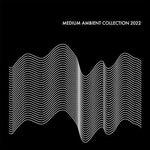 Varios Artistas - Colección Medium Ambient 2022 Negro / Varios (Vinilo)