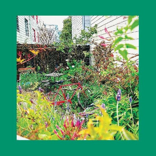 Pozo sin deseos (vinilo)