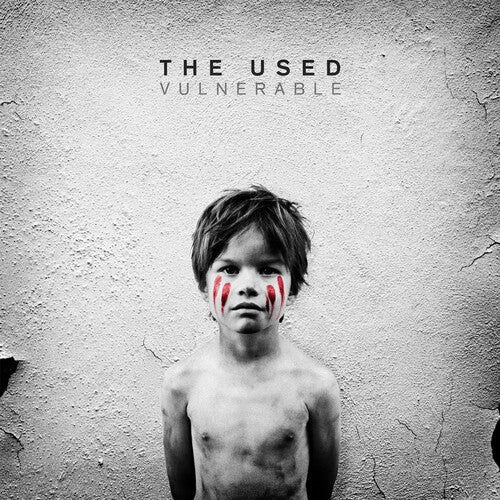 The Used - Vulnerable (ビニールレコード)