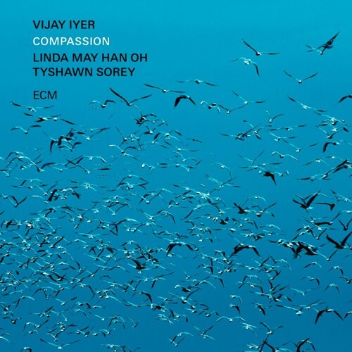 Vijay Iyer - Compassion (Vinyl)