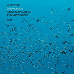 Vijay Iyer - Compassion (Vinyl)
