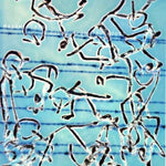 the album cover for Masami Tada - Sound From The Roots