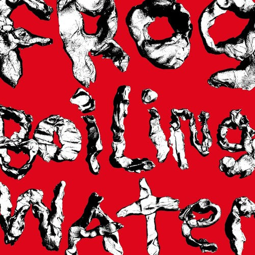 DIIV - Frog In Boiling Water (ビニール盤)