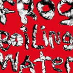 DIIV - Frog In Boiling Water (ビニール盤)