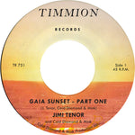 the album cover for Jimi Enor& Cold Diamond & Mink - Gaia Sunset