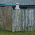 グッド・ルックス - リヴド・ヒア・フォー・ア・ウィイル(レコード)