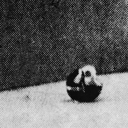 Conformistas - Midwestless (Vinilo)