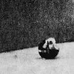 Conformistas - Midwestless (Vinilo)