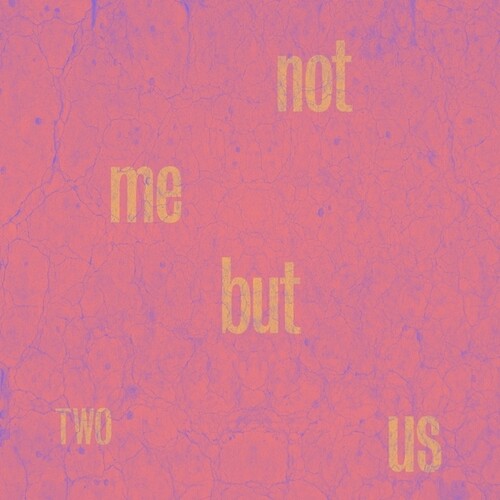 Not Me But Us - Two (ビニールレコード)