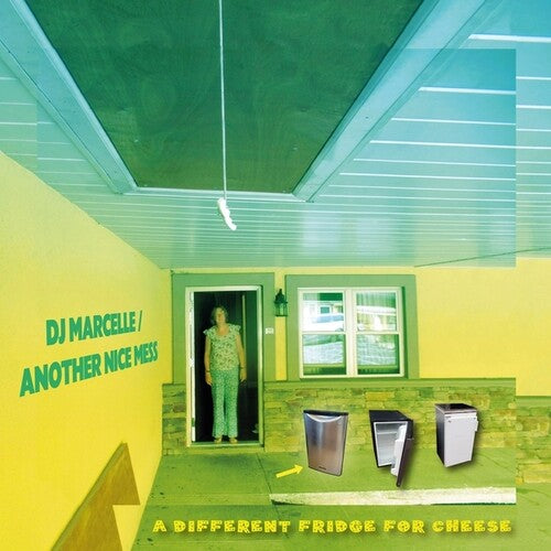 A Different Fridge For Cheese (Vinyl)