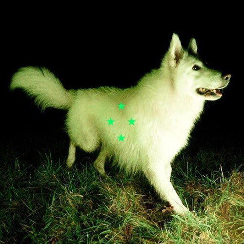 Real Farmer - Compara lo que hay (Vinilo)