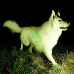 Real Farmer - Compara lo que hay (Vinilo)