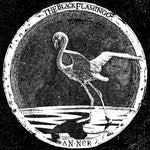 Black Flamingo - An-Nur (Vinyl)