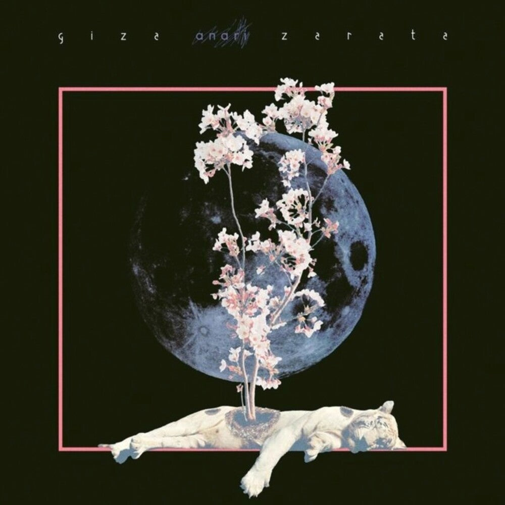 the album cover for Anari - Giza Zarata