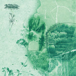 the album cover for Dismalimerence & Sadness - Resplendence