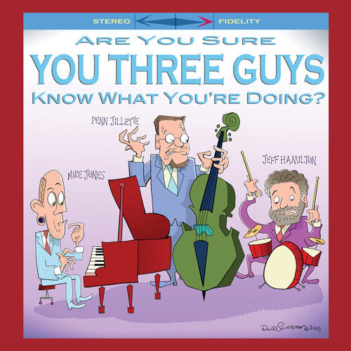 Are You Sure You Three Guys Know What You're Doing? (Vinyl)