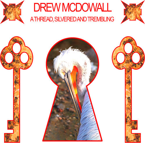 Drew McDowall - Un hilo plateado y tembloroso (Vinilo)