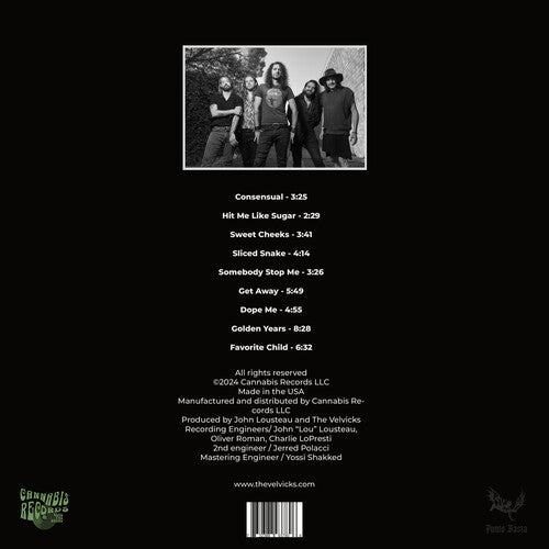 The Velvicks - Greatest Hits (Vinyl)