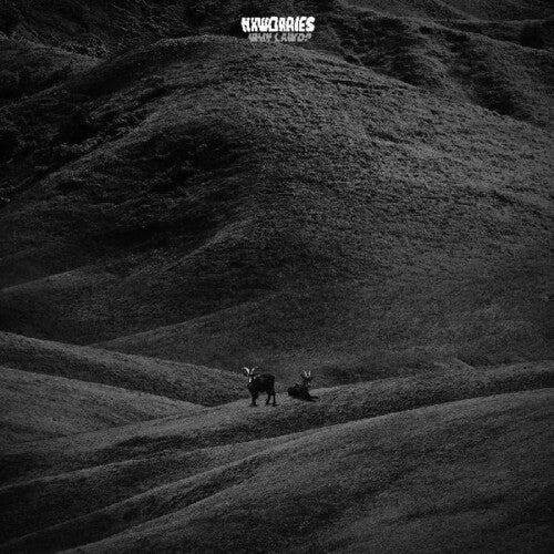 NxWorries - Why Lawd? (レコード)