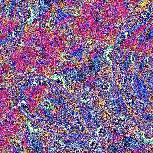 African Roots Of Jazz - Placenta (Vinyl)