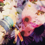 Veldt - Illuminated 1989 - Pink/Purple Splatter (Vinyl)