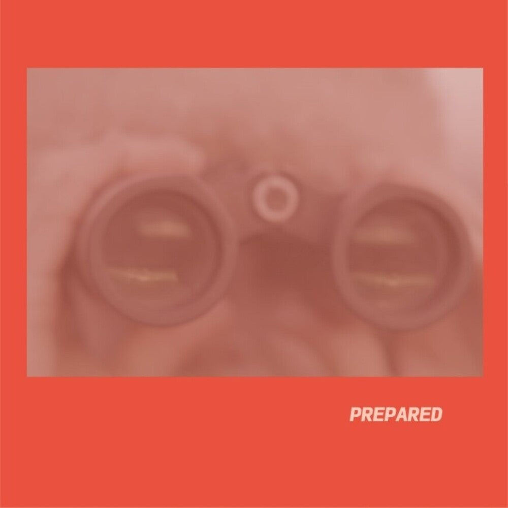 the album cover for Laura MartinJ - Prepared (Uk)
