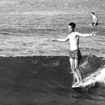 ザ・ラプチャー - あなたの愛の恵みの中で(CD)