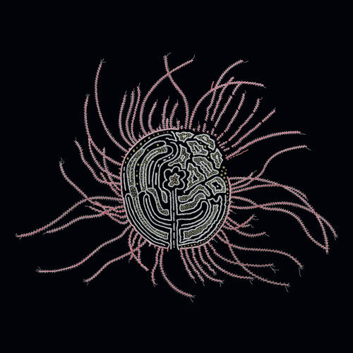Ka Baird - Bearings: Soundtracks for the Bardos' (Vinyl)
