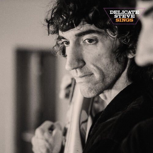 Delicate Steve - Delicate Steve Sings (Vinilo)