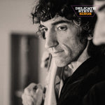 Delicate Steve - Delicate Steve Sings (Vinilo)