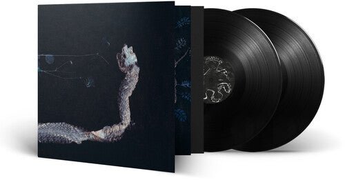 Tenhi - Maaaet (Vinyl)