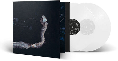 Tenhi - Maaaet (Vinyl)