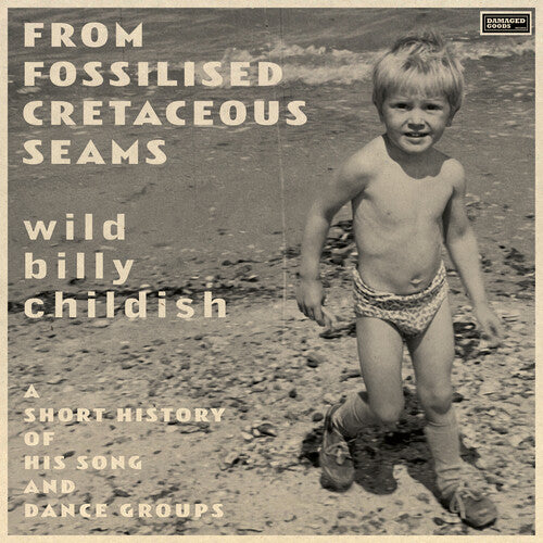 Billy Childish - From Fossilised Cretaceous Seams: A Short History Of His Song And Dance Groups (CD)