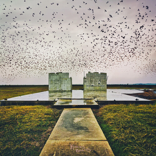 ロード・バッファロー - Holus Bolus (ビニールレコード)