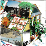 Magazine Beach - Constant Springtime (Vinyl)