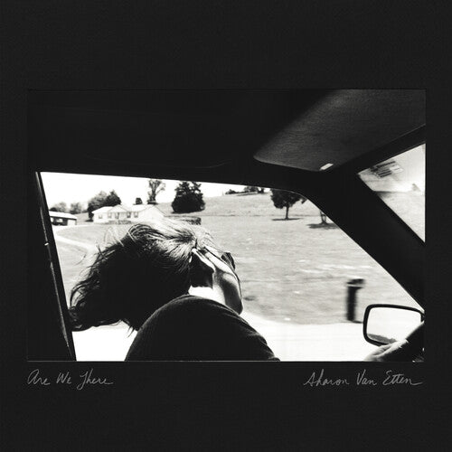 Sharon Van Etten - Are We There (Edición del 10.º aniversario) (Vinilo)
