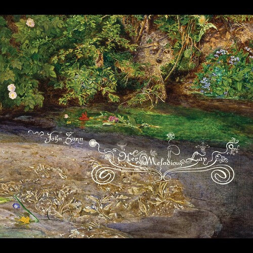 ジョン・ゾーン - Her Melodious Lay (CD)