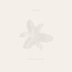 Dead Tongues - Body of Light / I Am a Cloud (Vinyl)