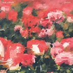 ライバル・スクールズ - ペダル - ピンク (ビニール)