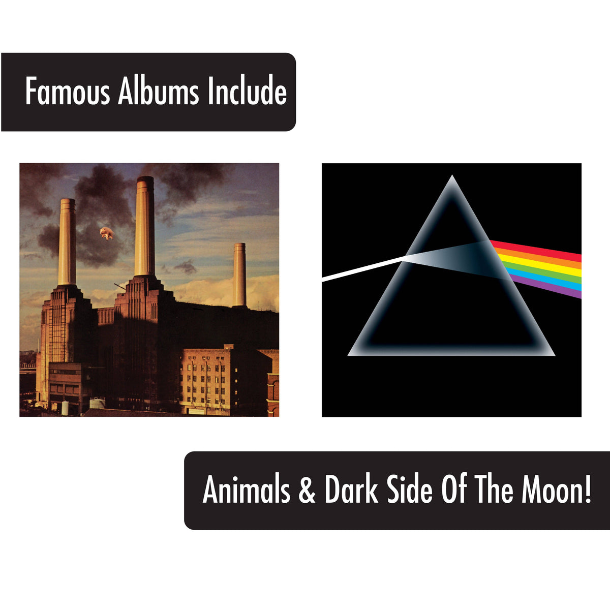 Pink Floyd Album Covers Drinking Glass Set (4-Pack / 16oz)