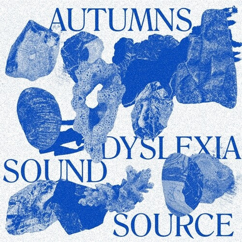 The Autumns - Dyslexia Sound Source (Vinyl)