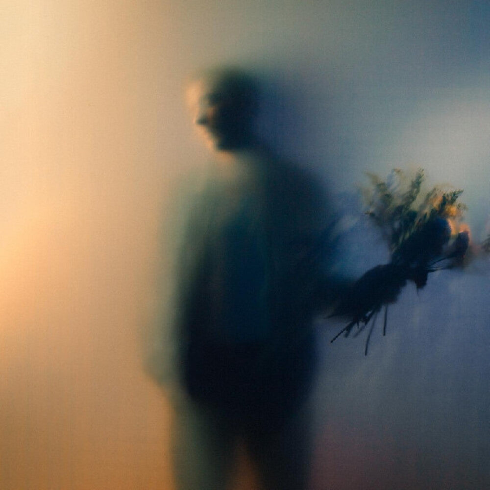 the album cover for Ben Böhmer - Bloom